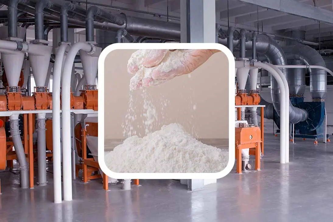 Flour Industry