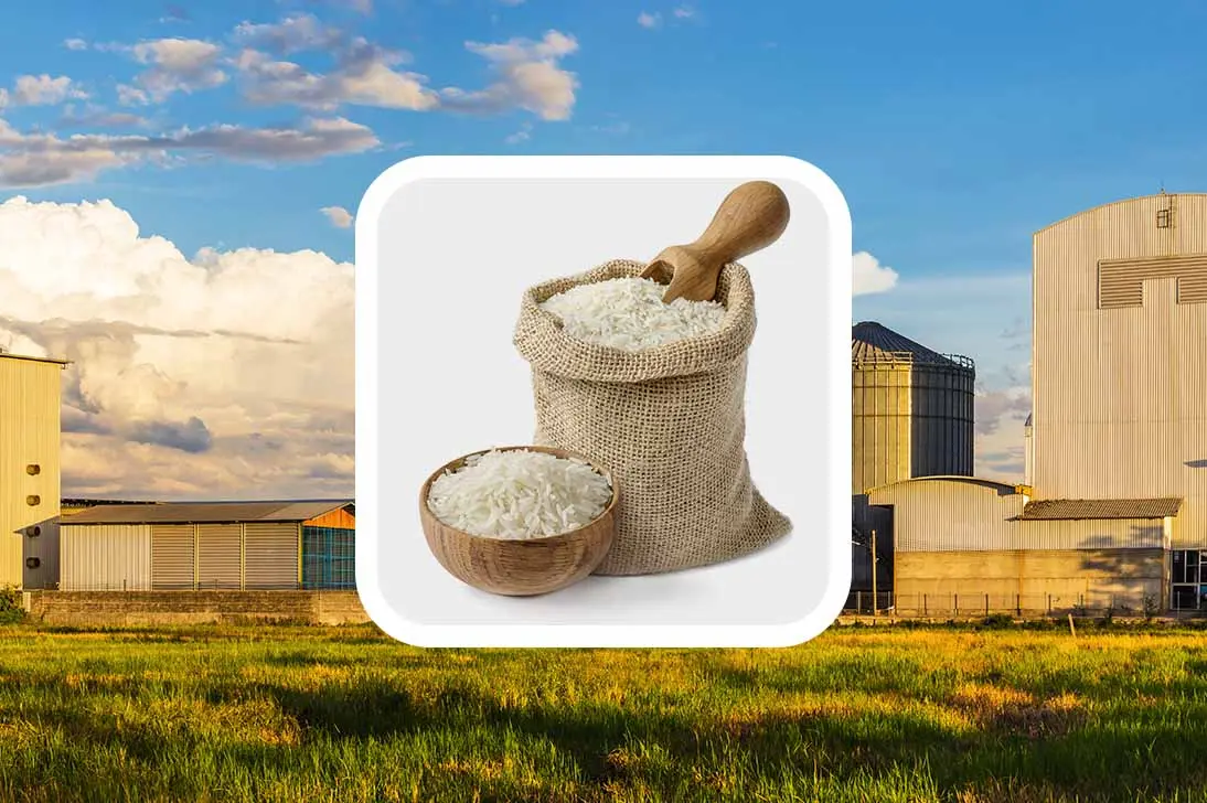 Rice Milling Industry