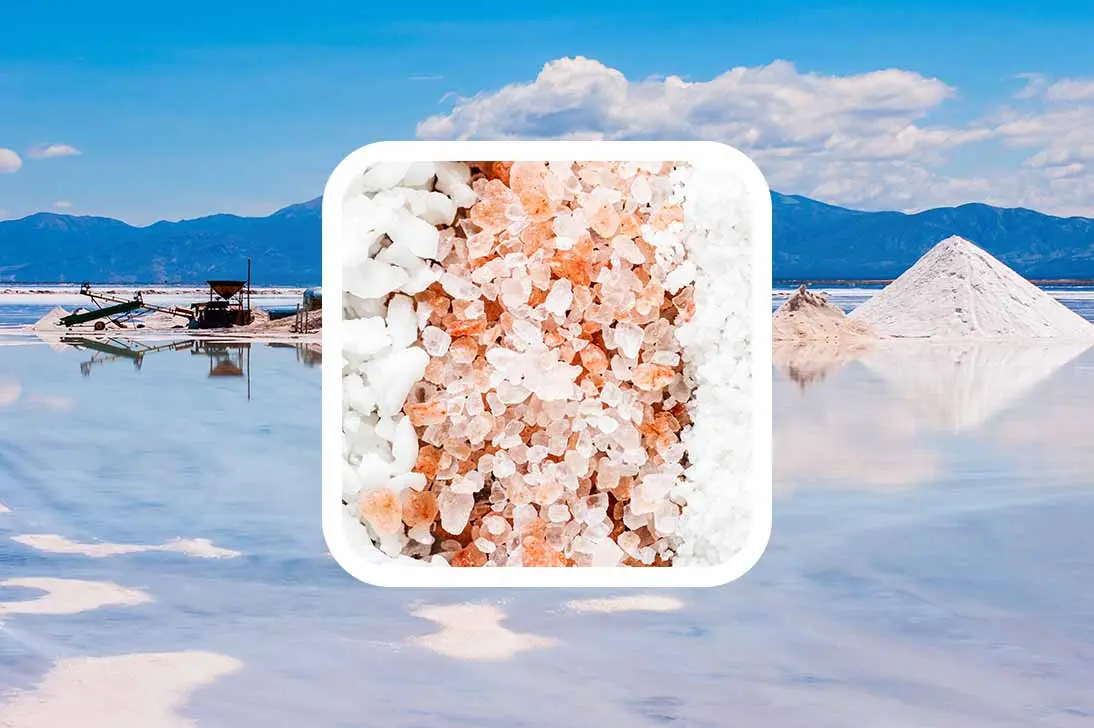 Salt Industry