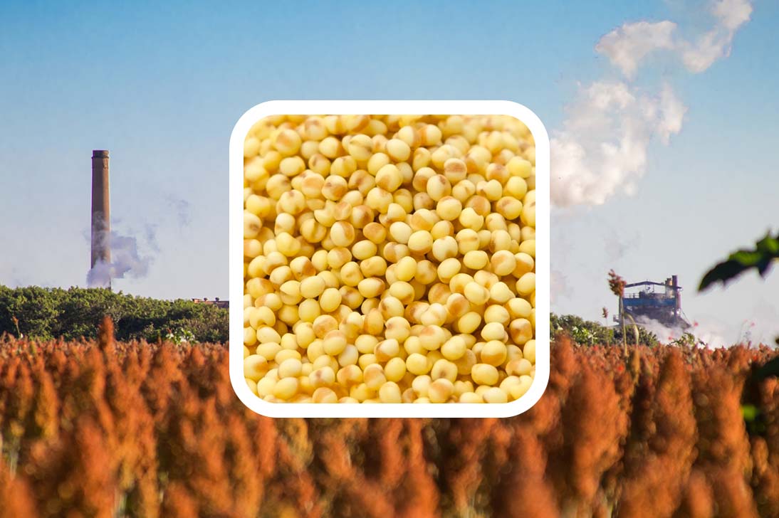 Millet Industry